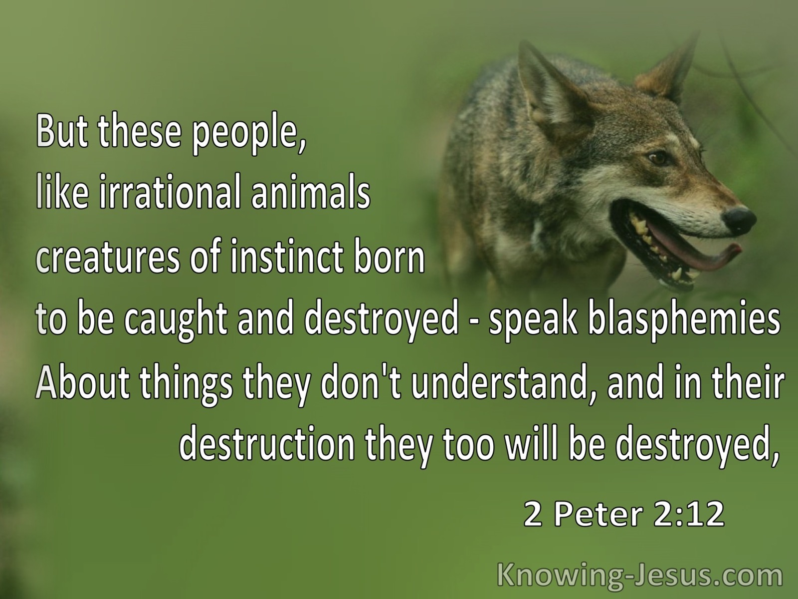 2 Peter 2:12 These People Are Irrational Animals Who Blaspheme (green)